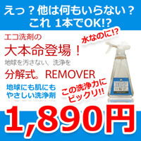 分解式。REMOVER（リムーバー）