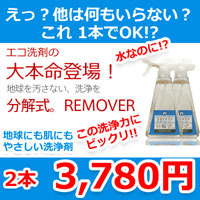 分解式。REMOVER（リムーバー）２本セット