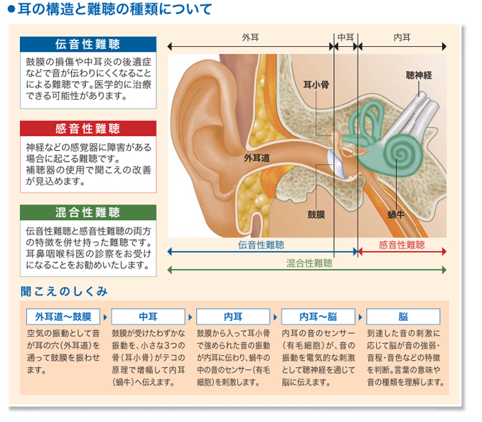 聞こえのしくみを知りましょう。