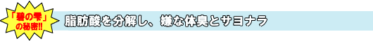 加齢臭のもと『脂肪酸を分解』